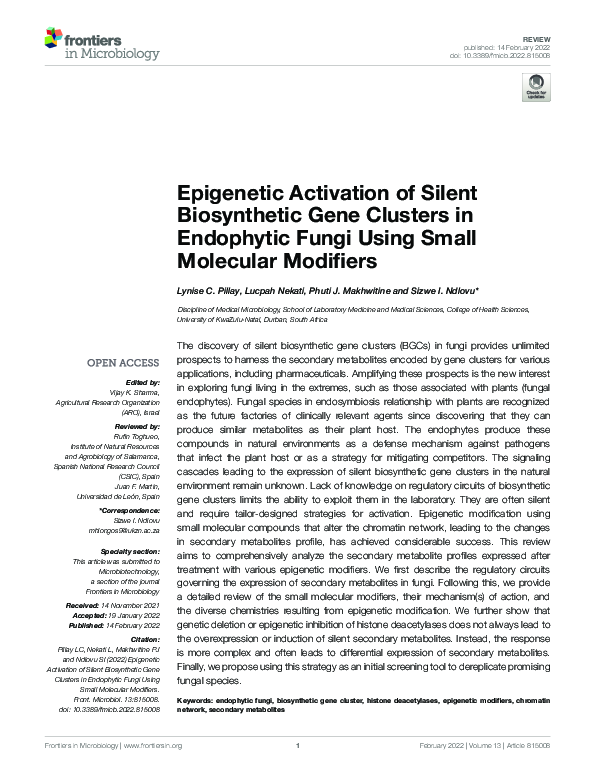 (PDF) Epigenetic Activation of Silent Biosynthetic Gene Clusters in ...