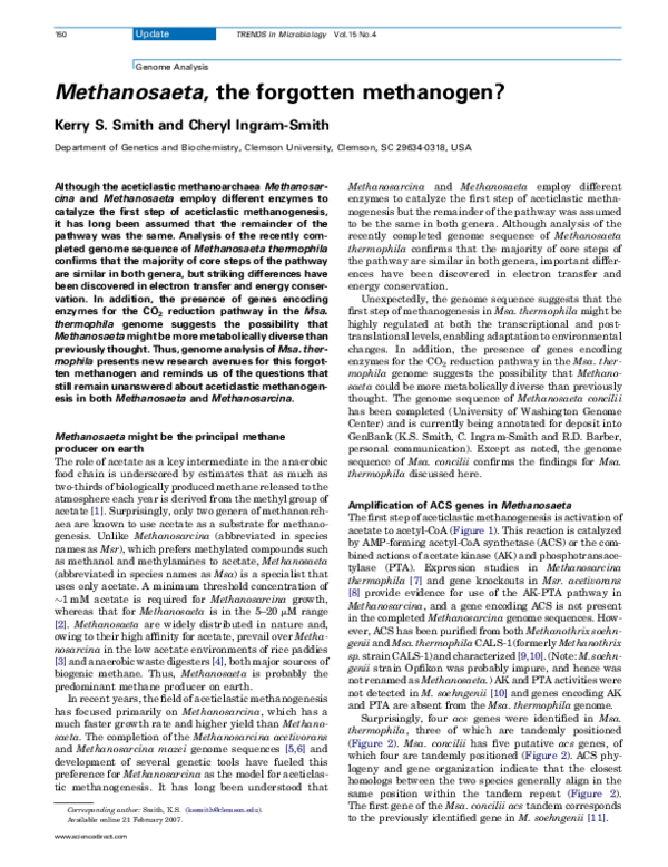 (PDF) Methanosaeta, the forgotten methanogen?