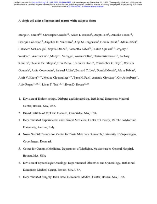 (PDF) A single cell atlas of human and mouse white adipose tissue