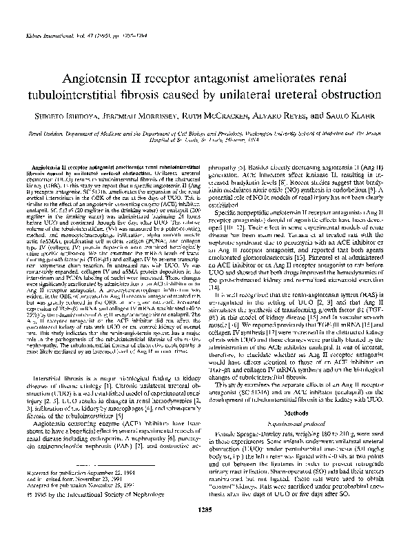 (PDF) Angiotensin II receptor antagonist ameliorates renal ...