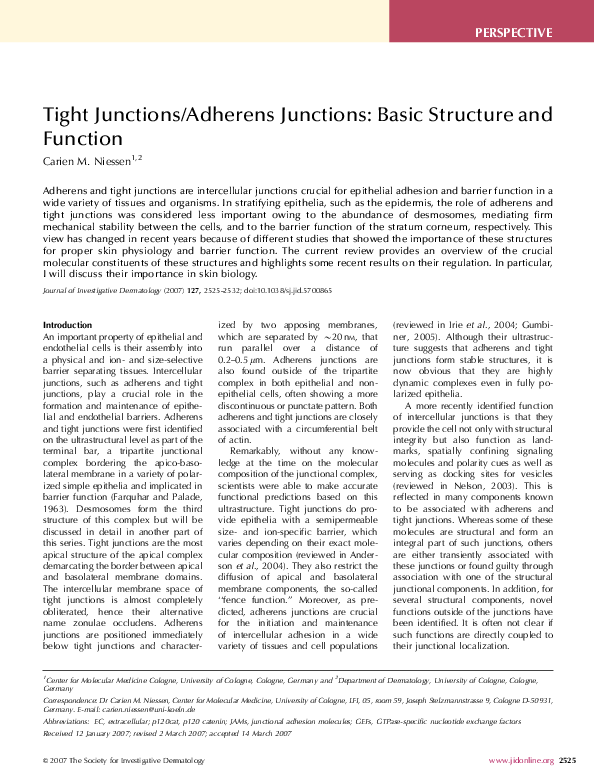 (PDF) Tight Junctions/Adherens Junctions Basic Structure and Function