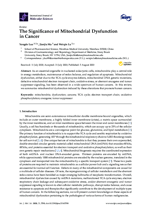 (PDF) The Significance of Mitochondrial Dysfunction in Cancer
