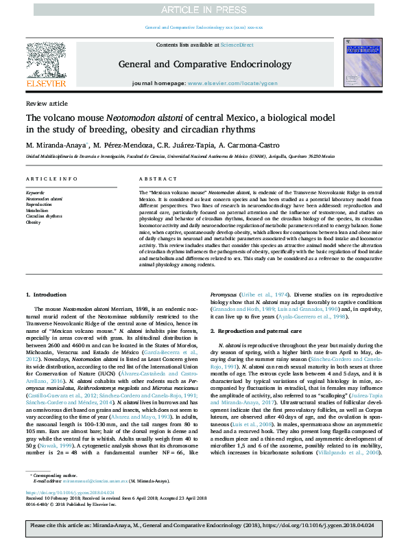 (PDF) The volcano mouse Neotomodon alstoni of central Mexico, a