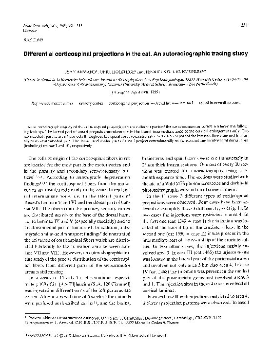 (PDF) Differential corticospinal projections in the cat. An