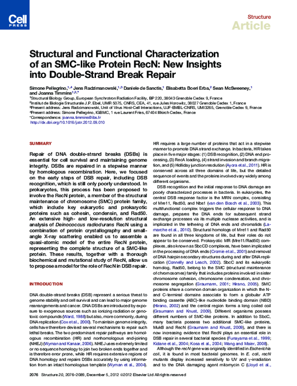  pdf structural and functional characterization of an smc like protein