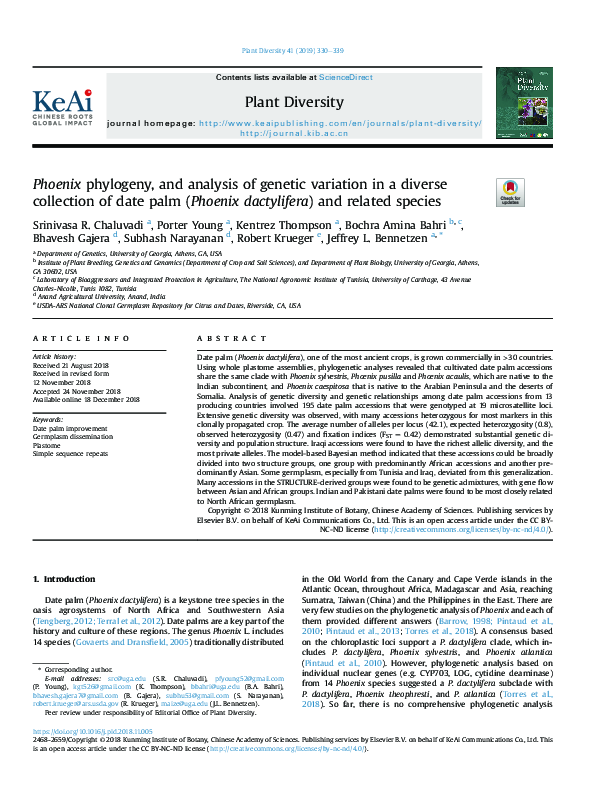 (PDF) Phoenix phylogeny, and analysis of genetic variation in a diverse ...