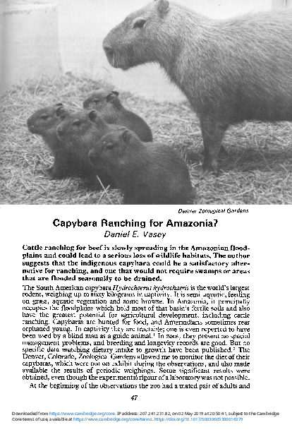 (PDF) Capybara Ranching for Amazonia?