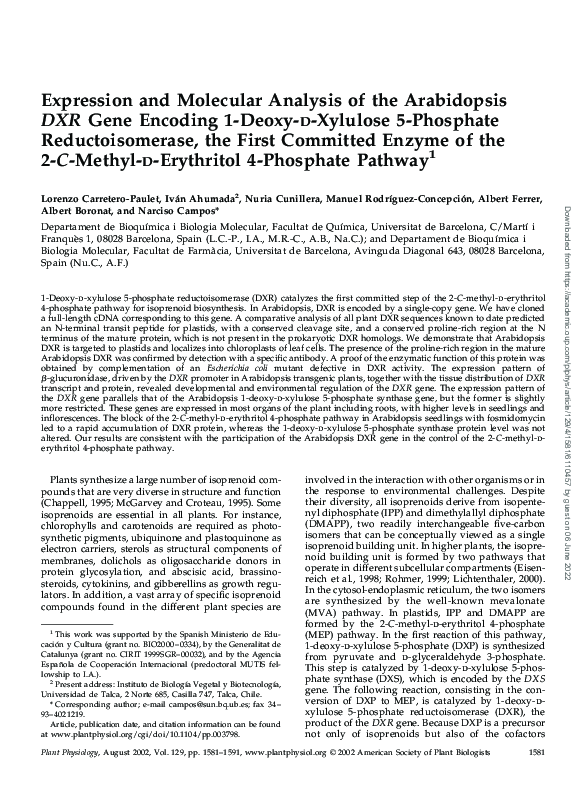 (PDF) Expression and Molecular Analysis of the ArabidopsisDXR Gene ...