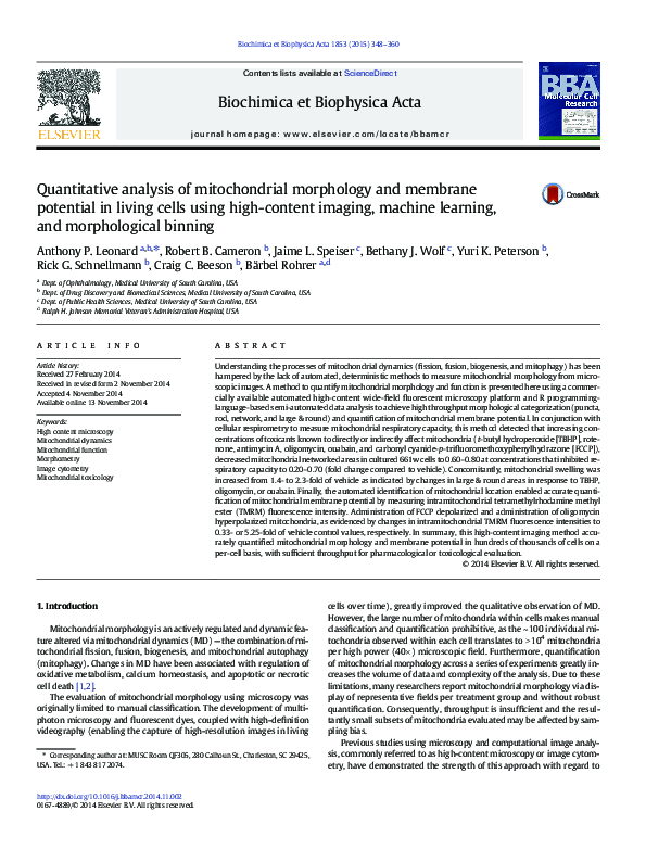 (PDF) Quantitative analysis of mitochondrial morphology and membrane ...
