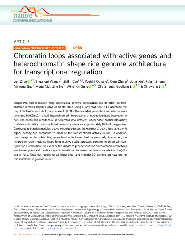 (PDF) Chromatin loops associated with active genes and heterochromatin ...