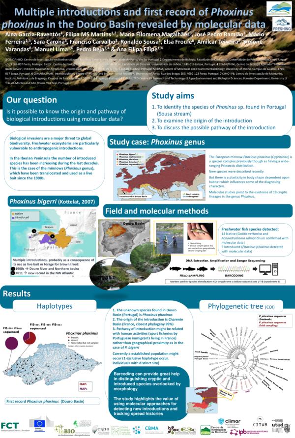 (PDF) Multiple introductions and first record of Phoxinus phoxinus in ...