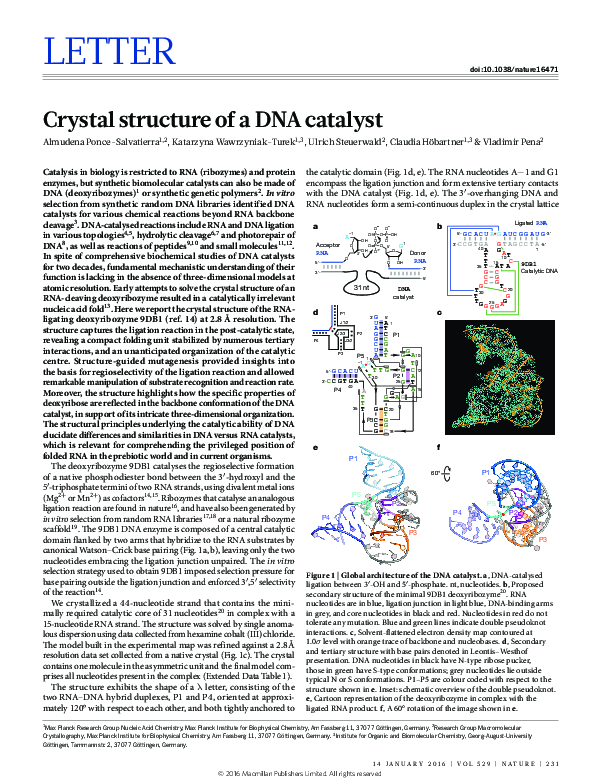 (PDF) Crystal structure of a DNA catalyst