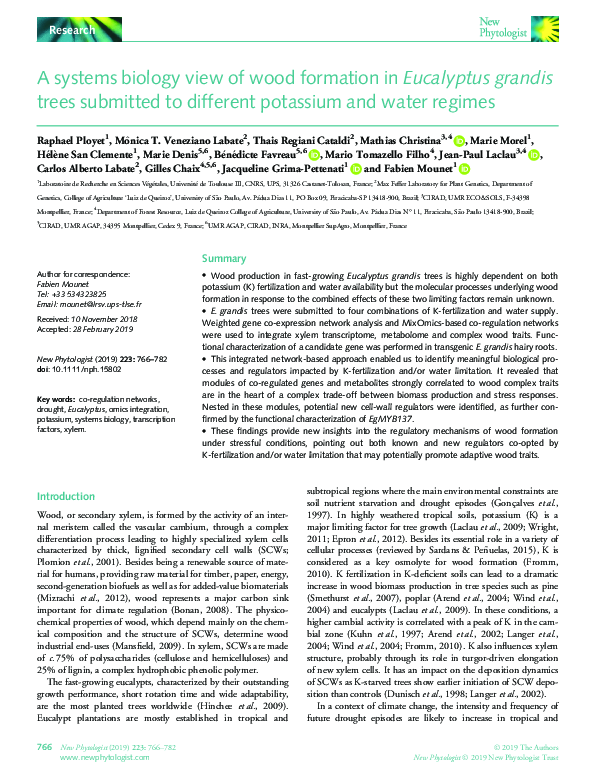 (PDF) A systems biology view of wood formation in Eucalyptus grandis ...