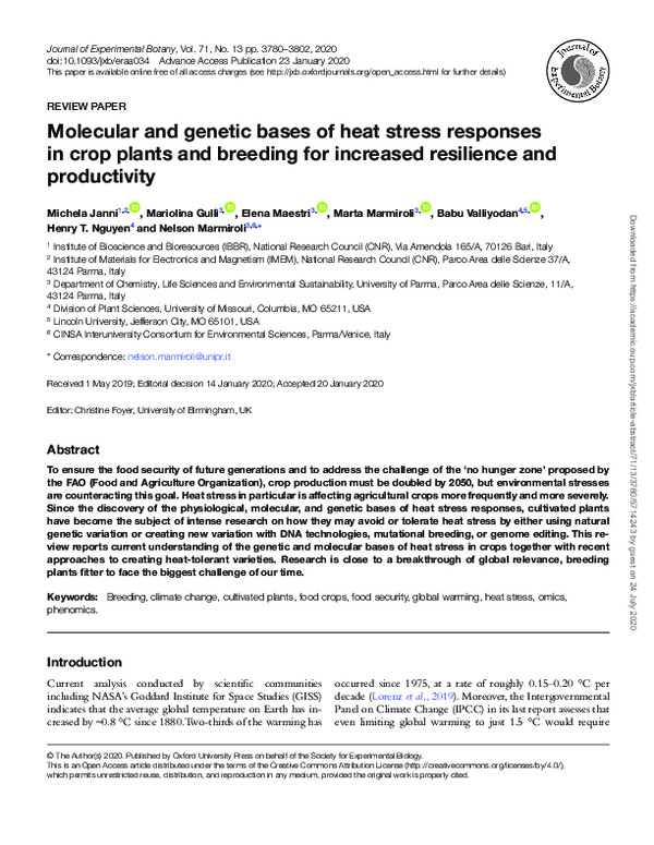 (PDF) Molecular and genetic bases of heat stress responses in crop ...