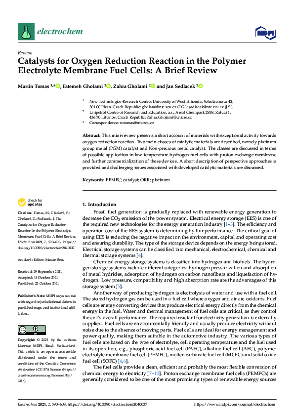 (PDF) Catalysts for Oxygen Reduction Reaction in the Polymer ...