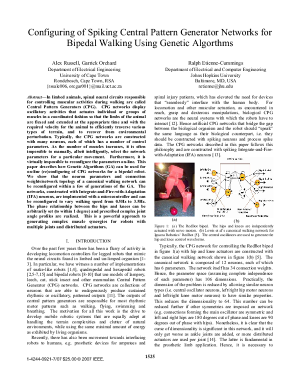 (PDF) Configuring of Spiking Central Pattern Generator Networks for ...