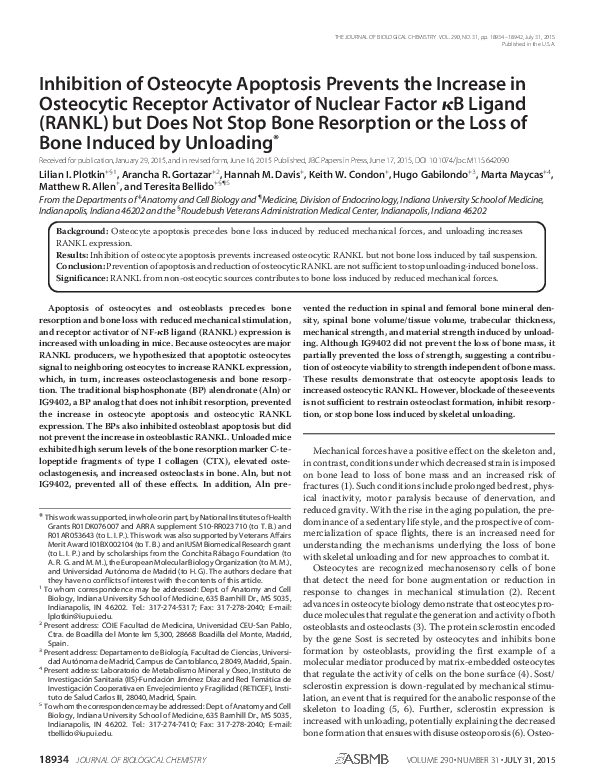 (PDF) Inhibition of Osteocyte Apoptosis Prevents the Increase in ...