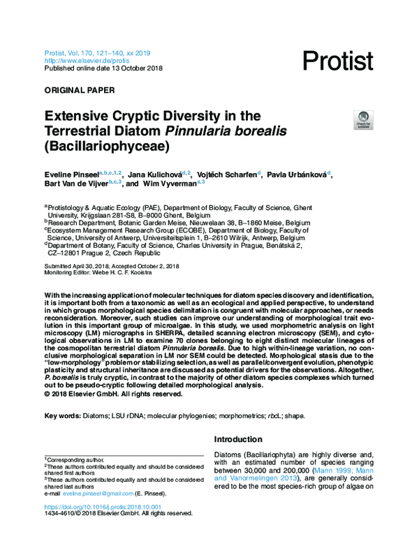 (PDF) Extensive Cryptic Diversity in the Terrestrial Diatom Pinnularia ...