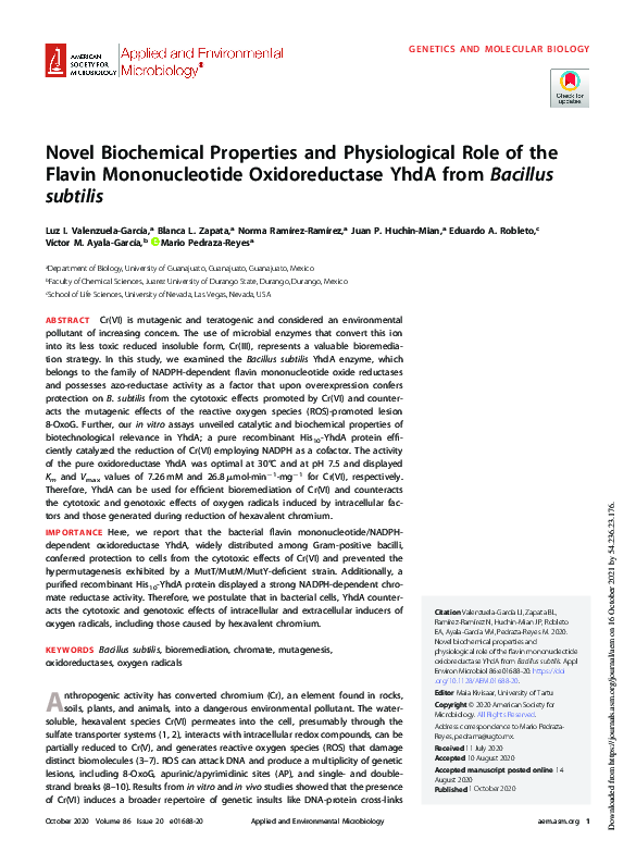 (PDF) Novel Biochemical Properties and Physiological Role of the Flavin ...