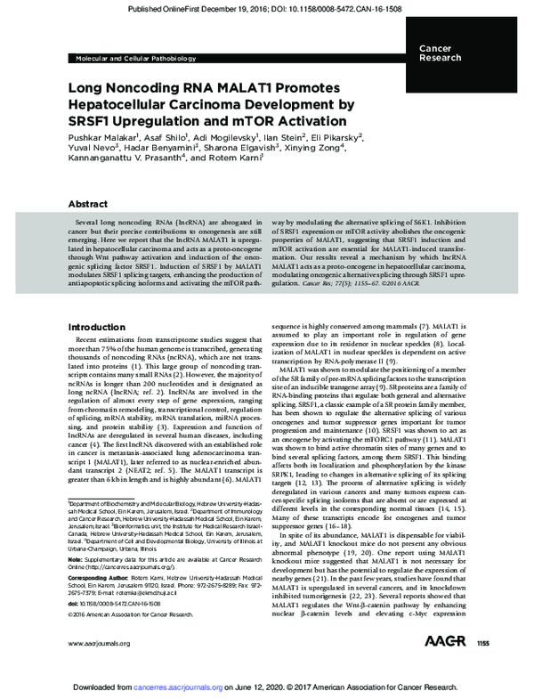 (PDF) Long Noncoding RNA MALAT1 Promotes Hepatocellular Carcinoma ...