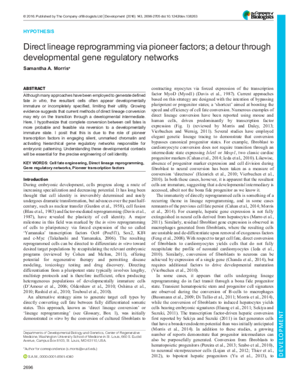 (PDF) Direct lineage reprogramming via pioneer factors; a detour ...