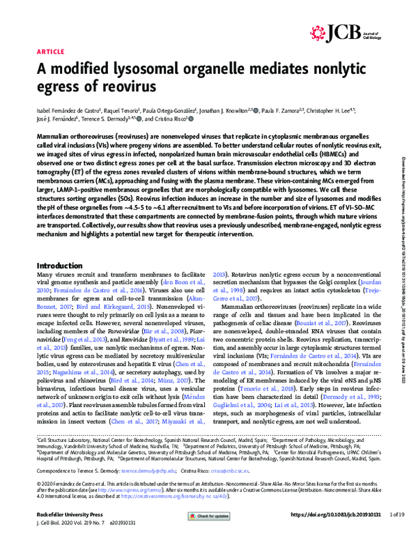 (PDF) A modified lysosomal organelle mediates nonlytic egress of ...