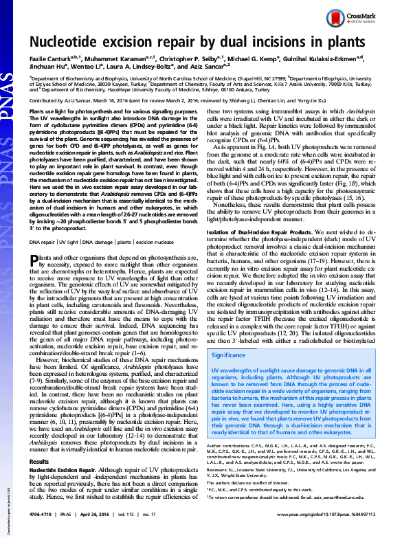 (PDF) Nucleotide excision repair by dual incisions in plants