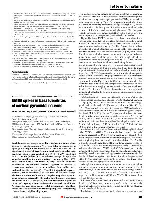(PDF) NMDA spikes in basal dendrites of cortical pyramidal neurons