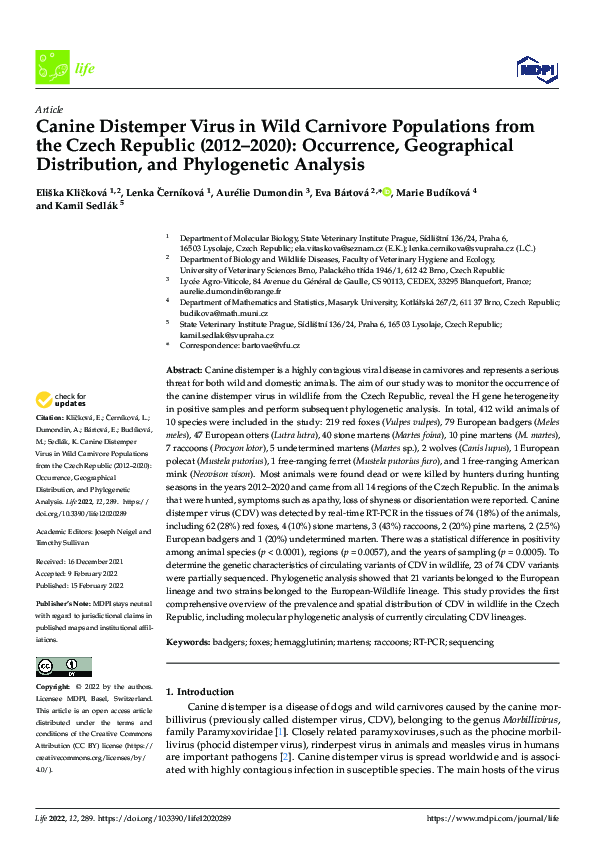  PDF Canine Distemper Virus In Wild Carnivore Populations From The 
