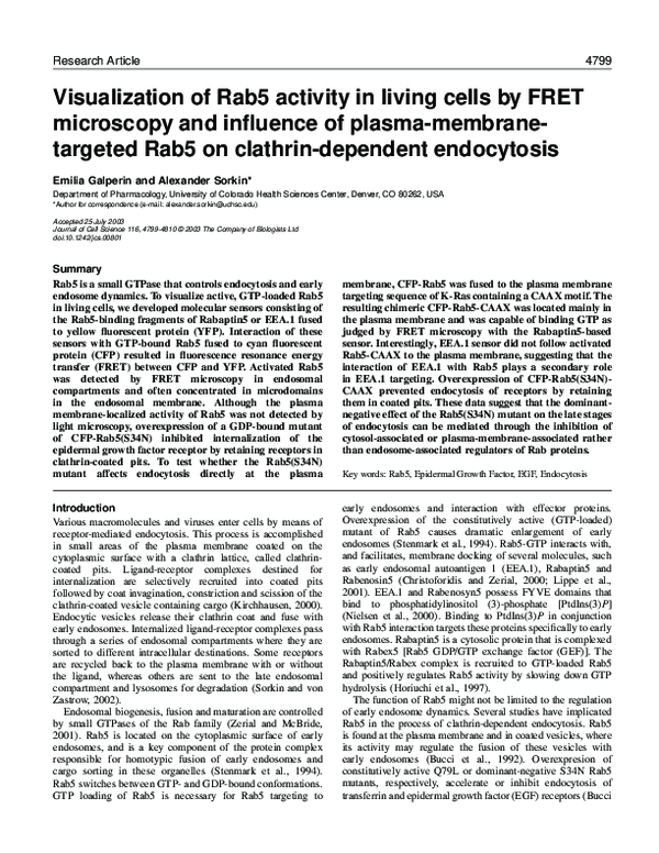 (PDF) Visualization of Rab5 activity in living cells by FRET microscopy ...