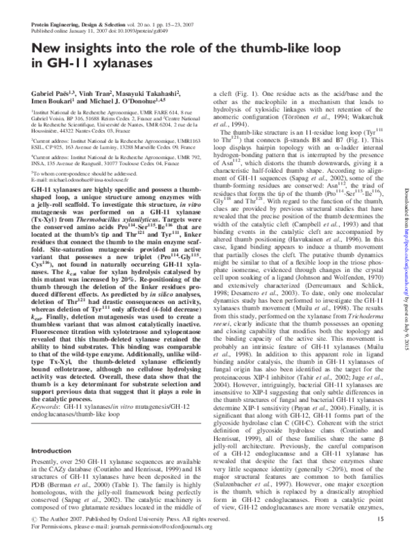 (PDF) New insights into the role of the thumb-like loop in GH-11 xylanases