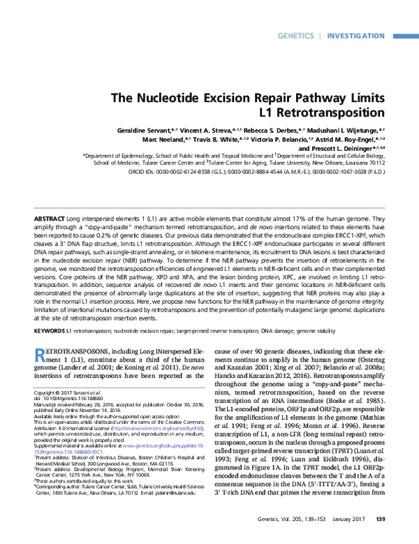 (PDF) The Nucleotide Excision Repair Pathway Limits L1 Retrotransposition