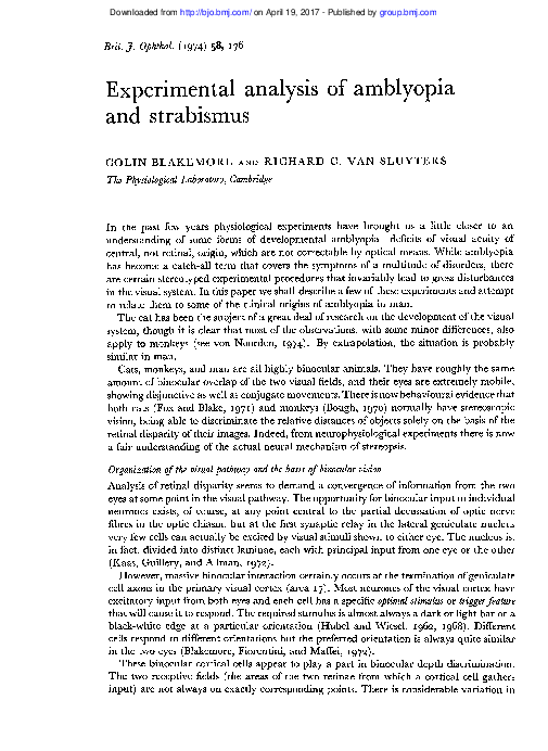 (PDF) Experimental analysis of amblyopia and strabismus
