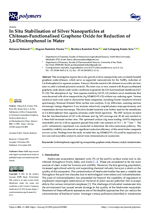(PDF) In Situ Stabilisation of Silver Nanoparticles at Chitosan ...