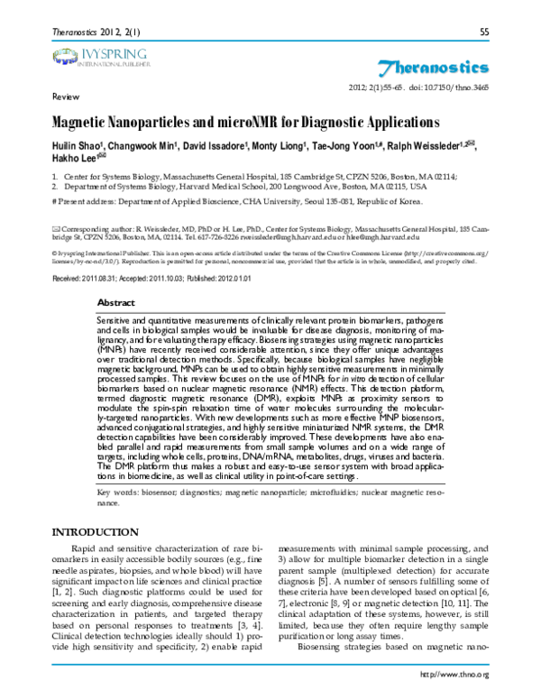 (PDF) Magnetic Nanoparticles and microNMR for Diagnostic Applications