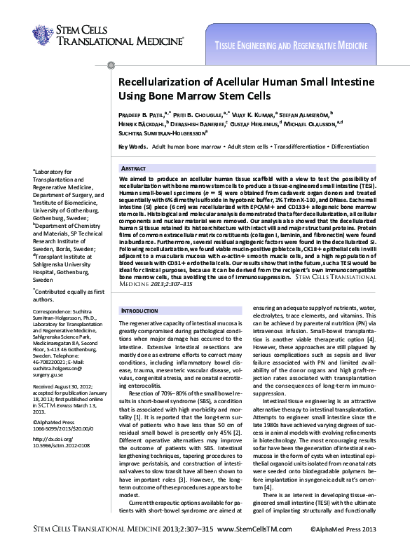 (PDF) Recellularization of acellular human small intestine using bone ...