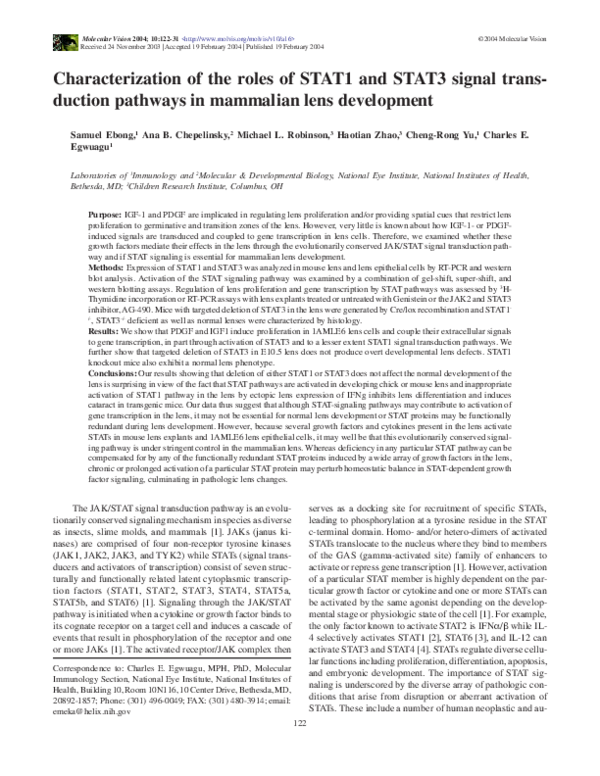(PDF) Characterization of the roles of STAT1 and STAT3 signal ...
