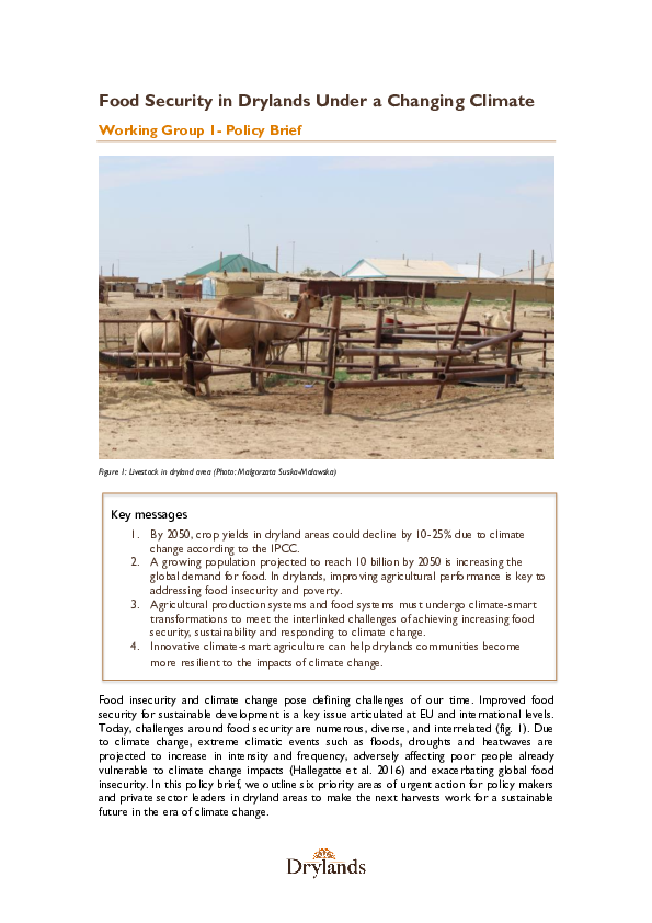 (PDF) Policy Brief: Food Security in Drylands Under a Changing Climate