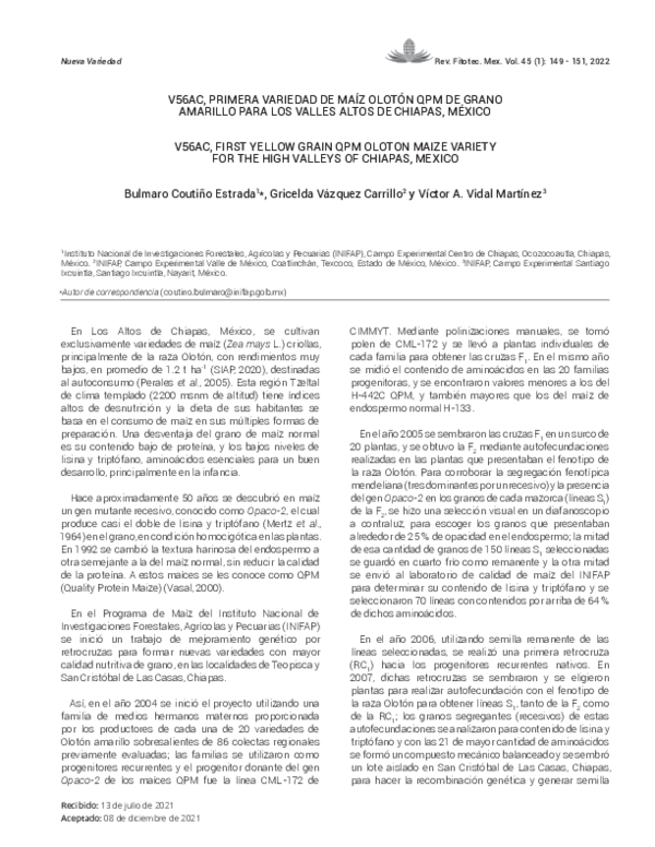 (PDF) V56AC, Primera Variedad De Maíz Olotón QPM De Grano Amarillo Para ...