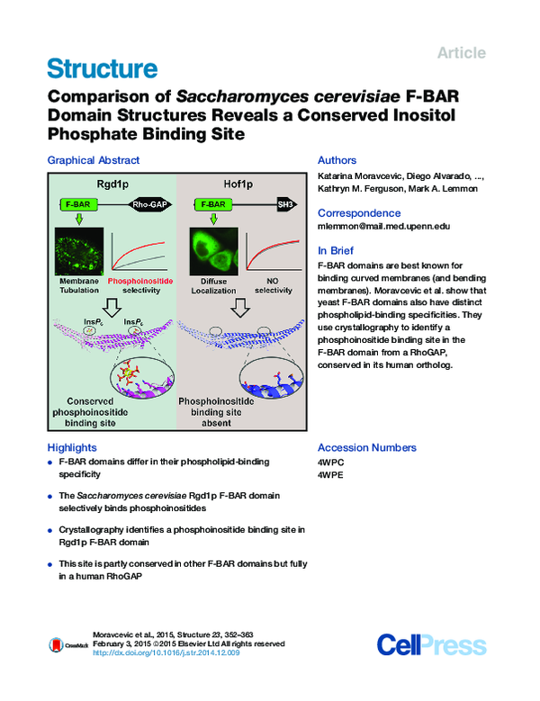 (PDF) Comparison of Saccharomyces cerevisiae F-BAR Domain Structures ...
