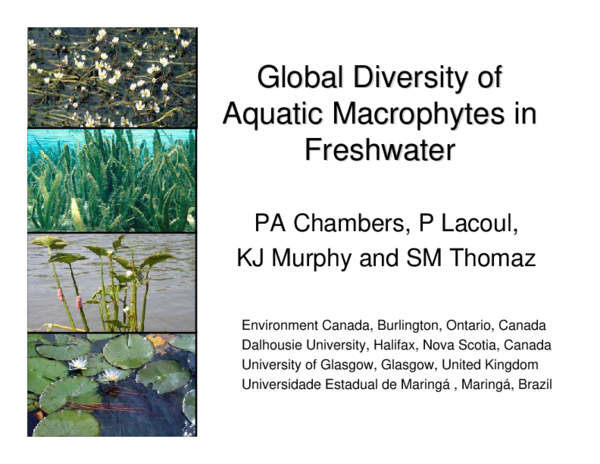 (PDF) Global diversity of aquatic macrophytes in freshwater