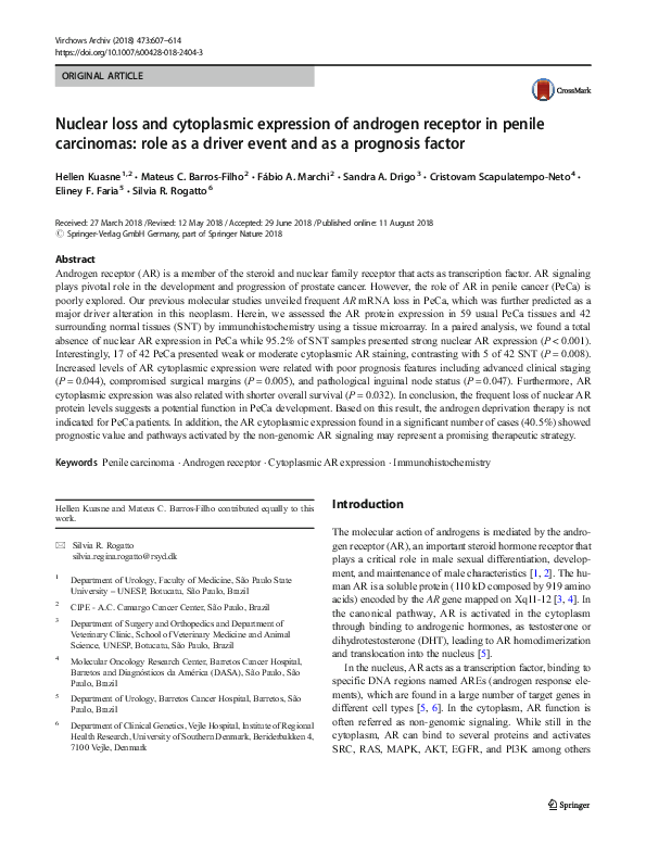 (PDF) Nuclear loss and cytoplasmic expression of androgen receptor in ...