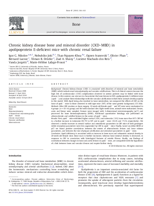 (PDF) Chronic kidney disease bone and mineral disorder (CKD–MBD) in ...