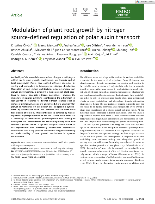 (PDF) Modulation of plant root growth by nitrogen source‐defined ...