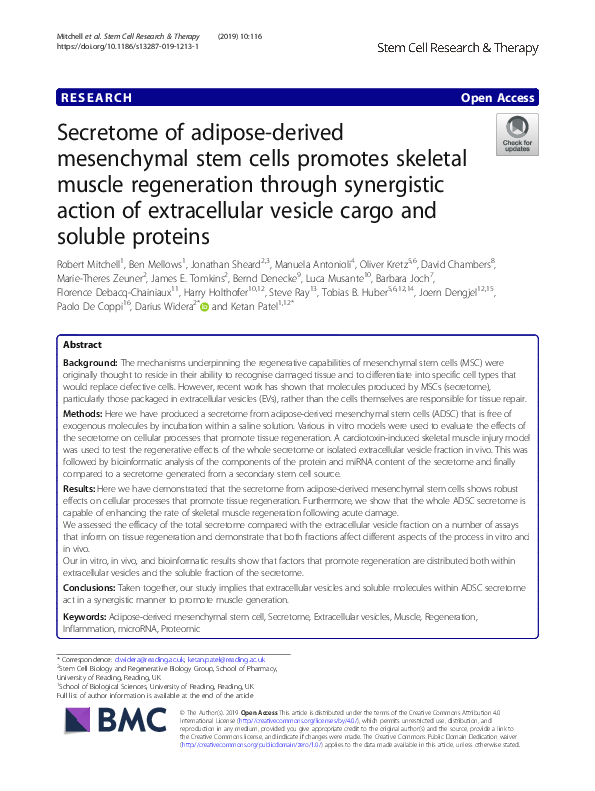 (PDF) Secretome of adipose-derived mesenchymal stem cells promotes ...