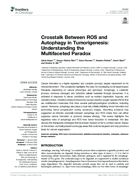 (PDF) Crosstalk Between ROS and Autophagy in Tumorigenesis ...