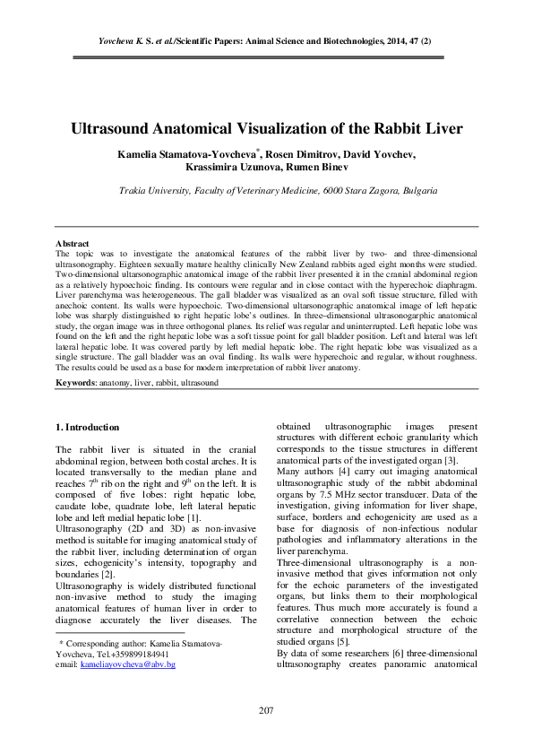 (PDF) Ultrasound Anatomical Visualization of the rabbit liver