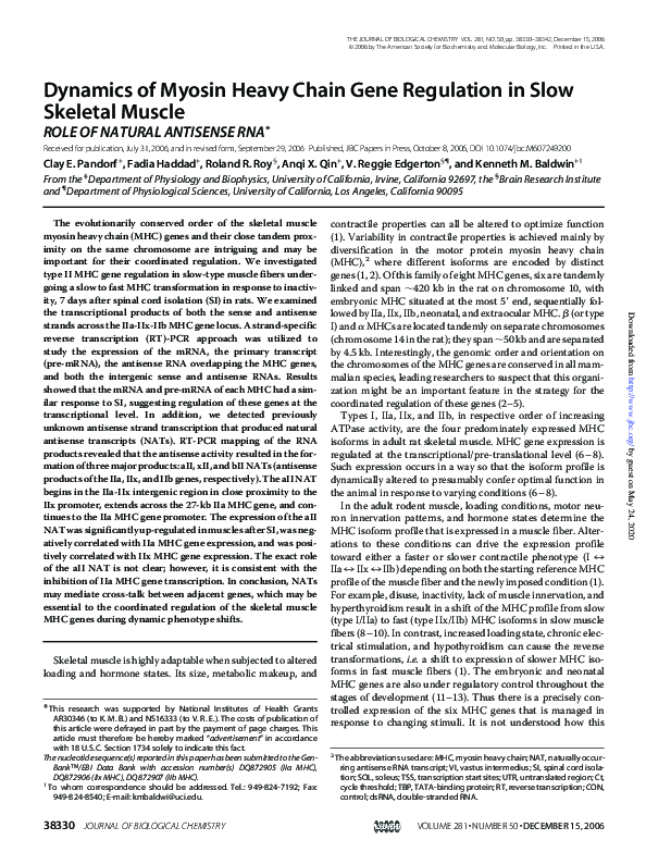 (PDF) Dynamics of Myosin Heavy Chain Gene Regulation in Slow Skeletal ...