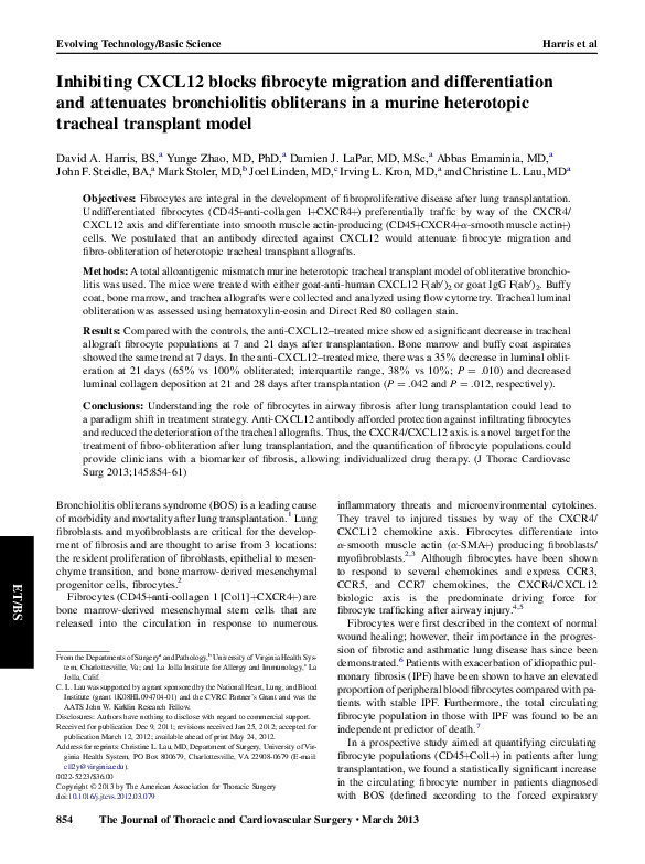 (PDF) Inhibiting CXCL12 blocks fibrocyte migration and differentiation ...