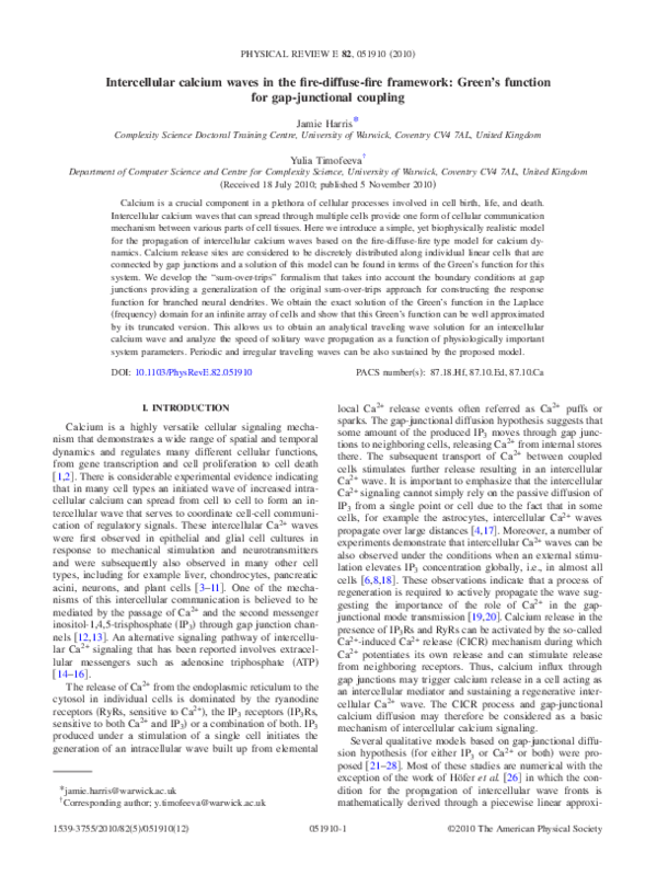 (PDF) Intercellular calcium waves in the fire-diffuse-fire framework ...